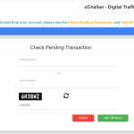 check pending payment